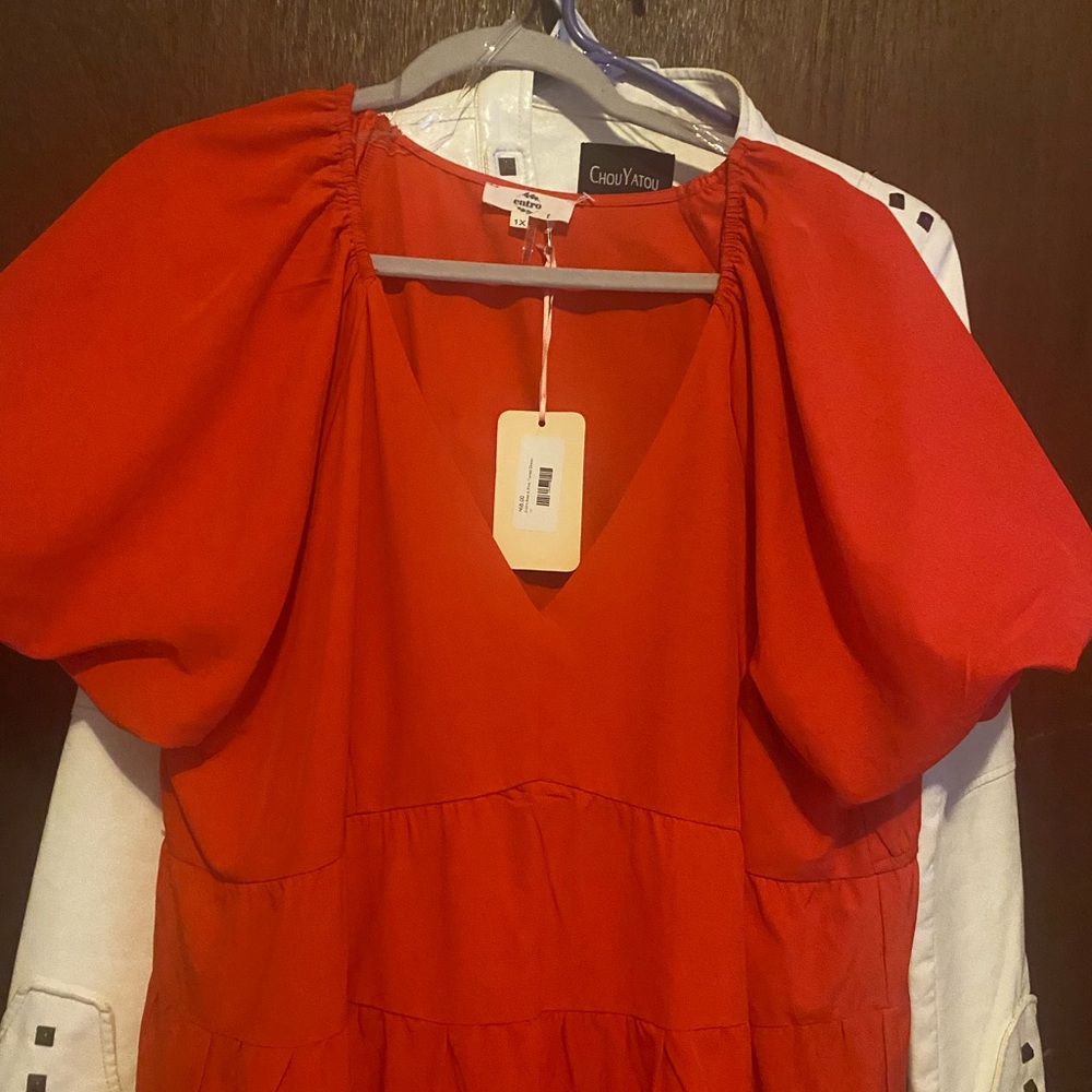 Entro Red Puff Sleeve Dress